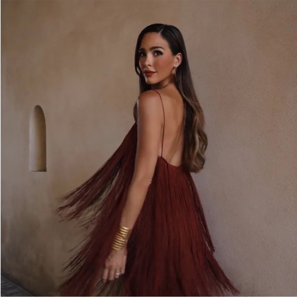 ZARA Brown Midi Fringe Dress NWT MEDIUM - Picture 7 of 11